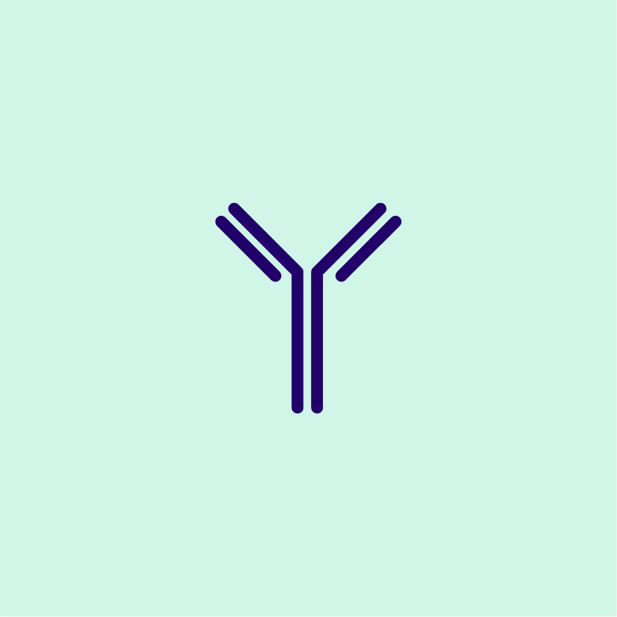 Molecule_Selection_Characterization
