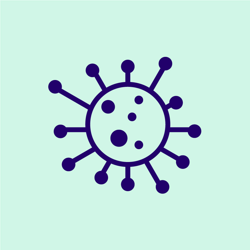 Molecules_Supported